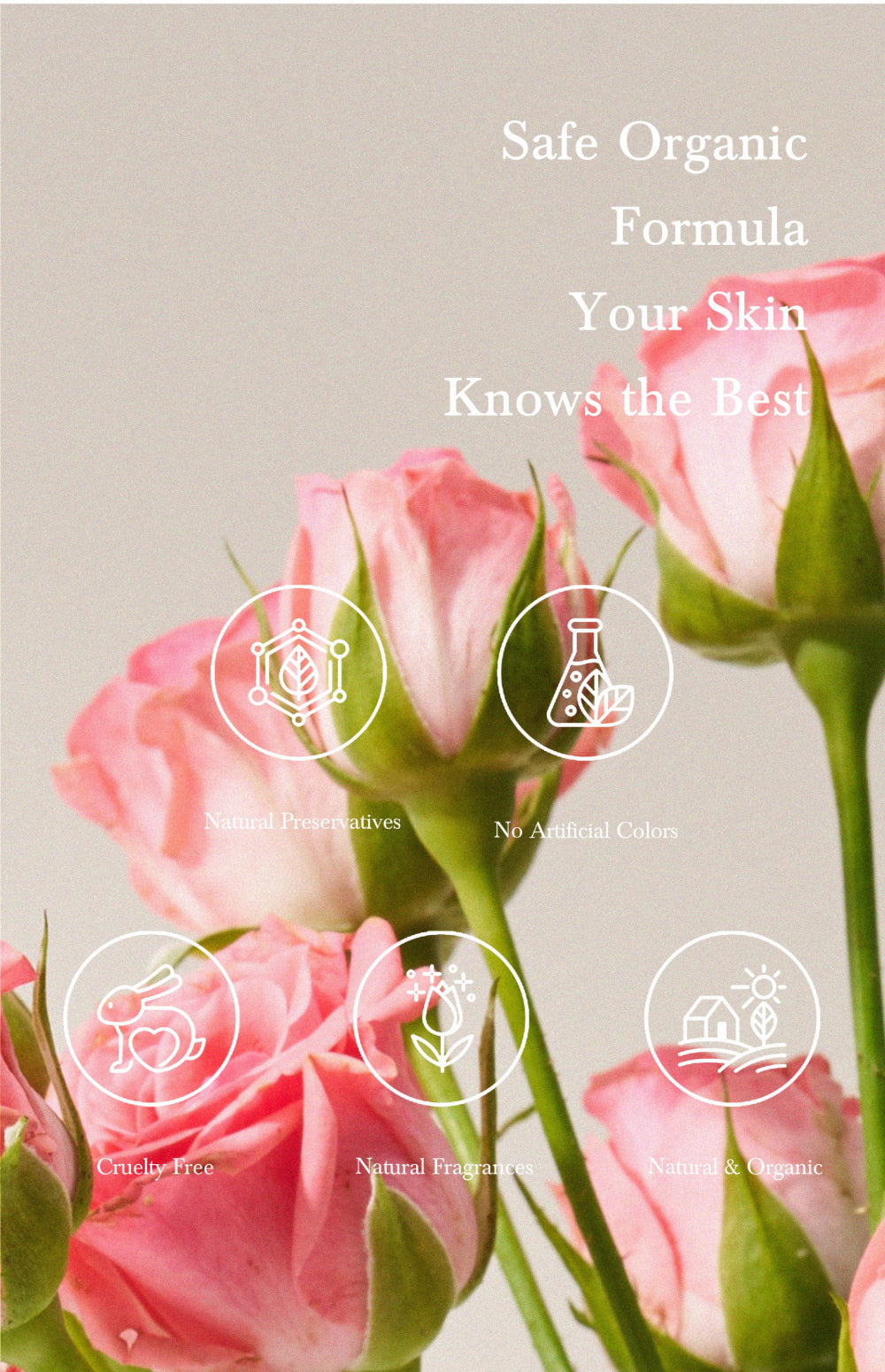 Rose Ceramide Cream