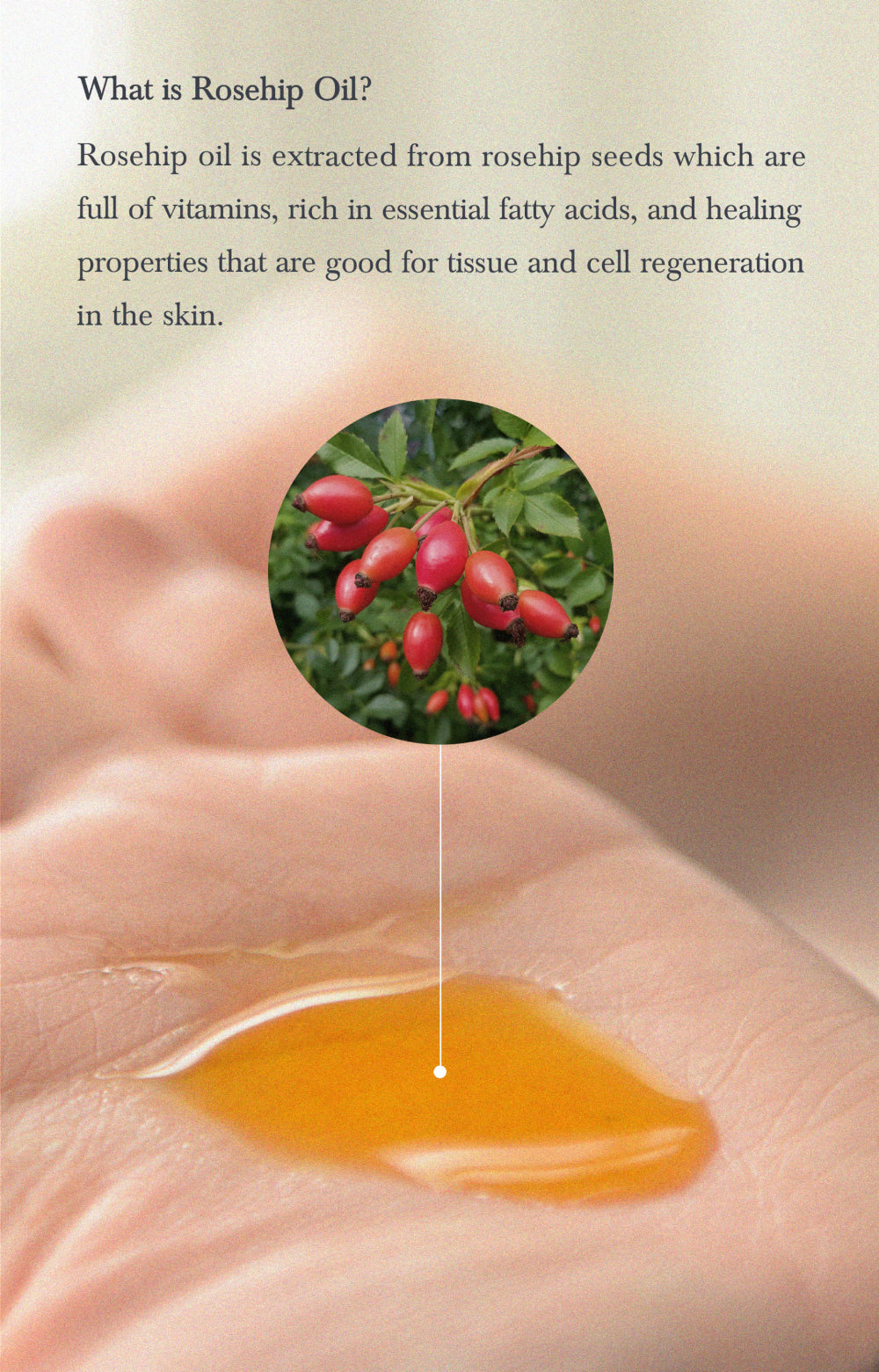 Vitamin Oil Serum