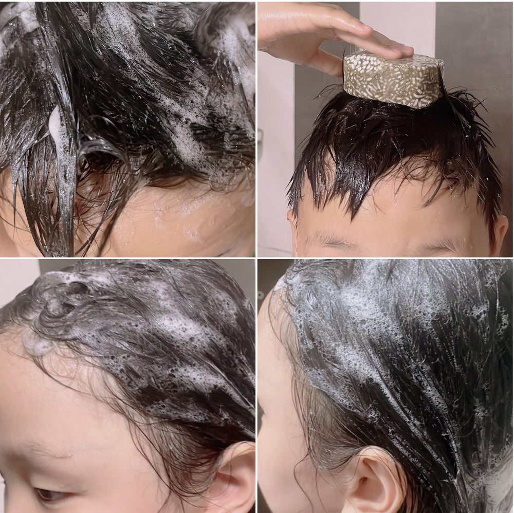 Mugwort Family Shampoo bar