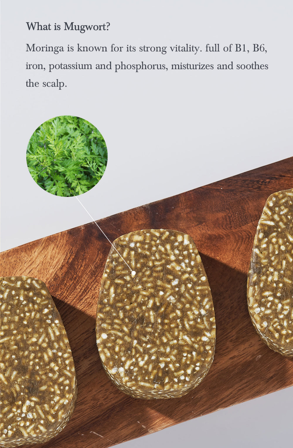 Mugwort Family Shampoo bar