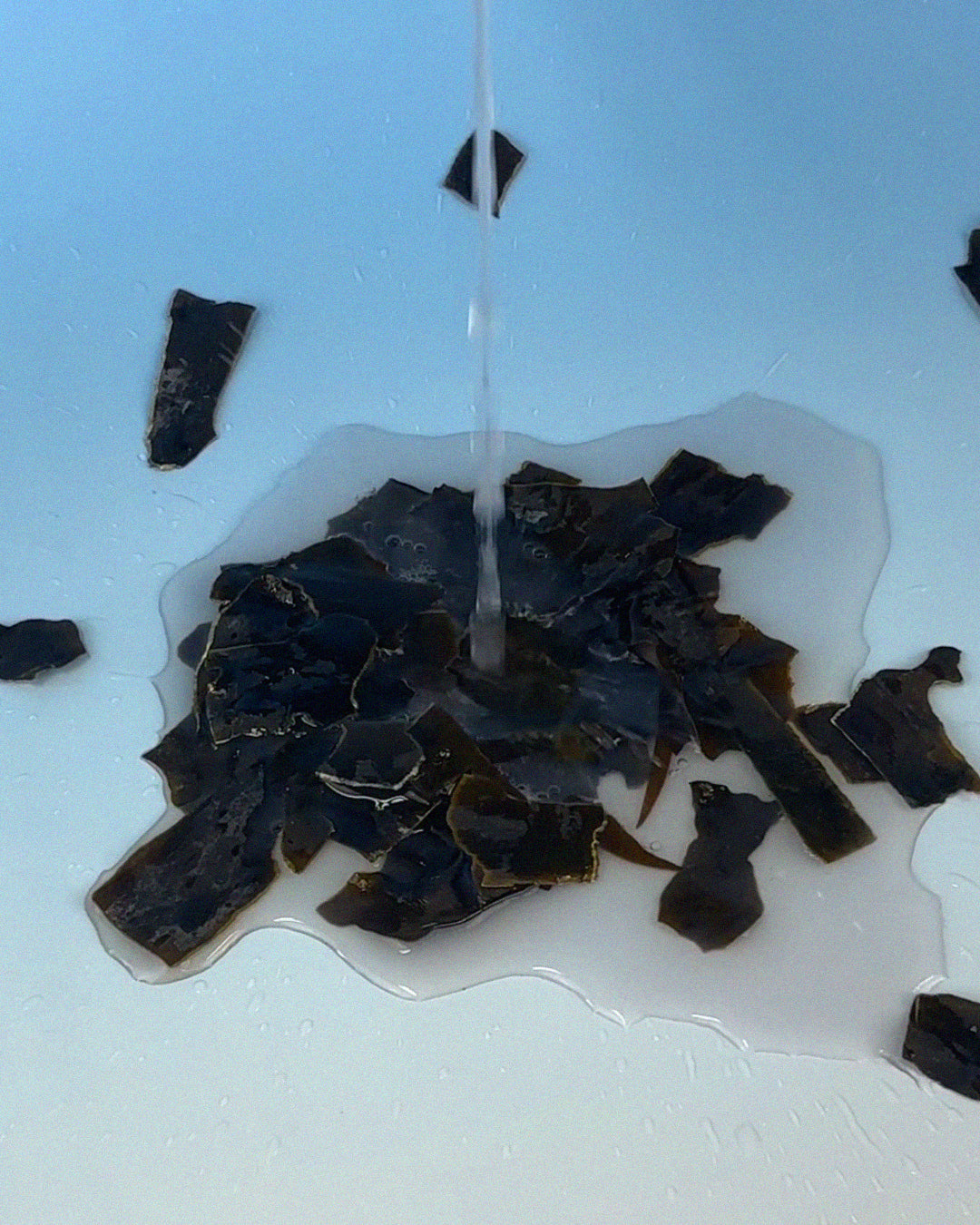 Sea Kelp 60 Soothing Toner