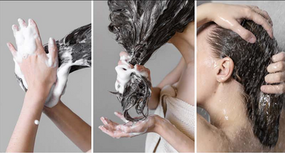 Intensive Peptide Complex Sebum Secretion Care Shampoo