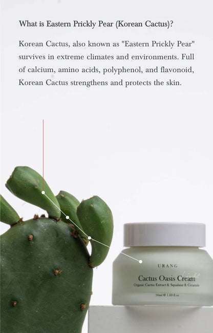 Cactus Oasis Cream